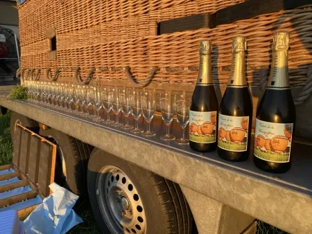 Ballonvaart vanaf Holten naar Gelselaar