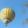 BAS Luchtballon
