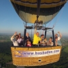 Ballonvaren-Bavel