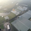 Kwekerij Sensation Tuil